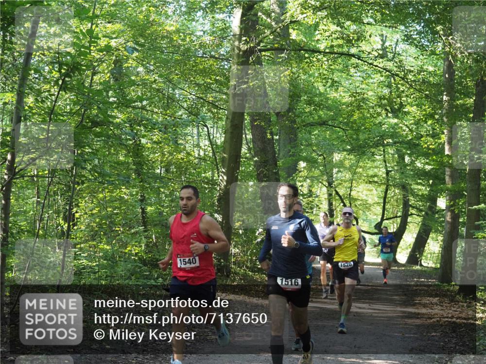 22.09.2024 - 32. Volkslauf durch das schöne Alstertal Miley Keyser http://msf.ph/oto/7137650 22.09.2024 10:18:32 Laufen 1540, 1516, 1520, 1831 meine-sportfotos.de