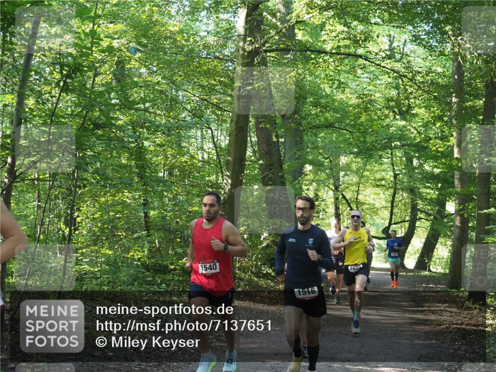 22.09.2024 - 32. Volkslauf durch das schöne Alstertal Miley Keyser http://msf.ph/oto/7137651 22.09.2024 10:18:32 Laufen 1540, 1516, 1520 meine-sportfotos.de