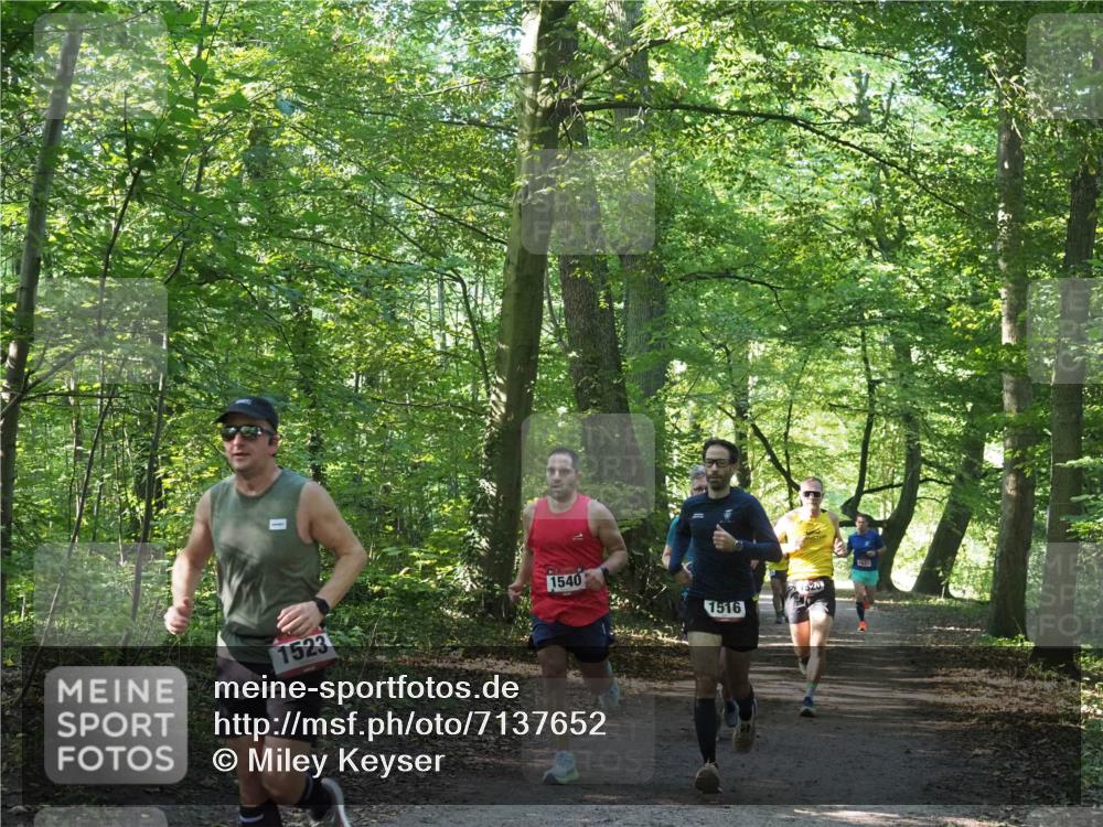 22.09.2024 - 32. Volkslauf durch das schöne Alstertal Miley Keyser http://msf.ph/oto/7137652 22.09.2024 10:18:31 Laufen 1540, 1523, 1516, 22 meine-sportfotos.de