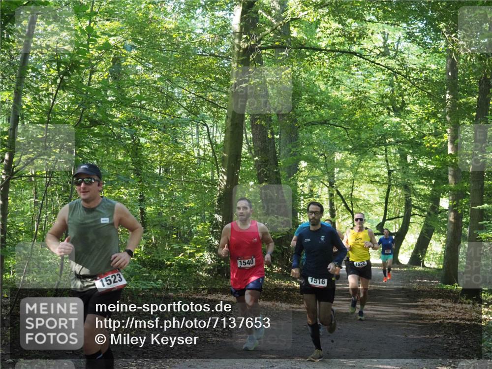 22.09.2024 - 32. Volkslauf durch das schöne Alstertal Miley Keyser http://msf.ph/oto/7137653 22.09.2024 10:18:31 Laufen 1523, 1540, 1516, 1520 meine-sportfotos.de