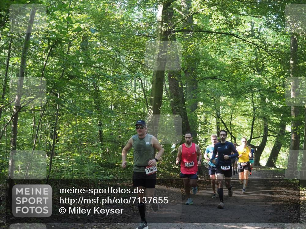 22.09.2024 - 32. Volkslauf durch das schöne Alstertal Miley Keyser http://msf.ph/oto/7137655 22.09.2024 10:18:30 Laufen 1523, 1540, 1516, 1520 meine-sportfotos.de