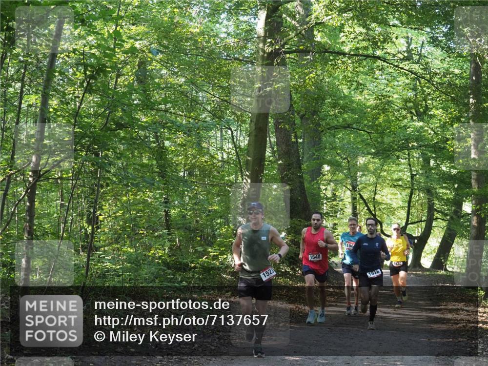 22.09.2024 - 32. Volkslauf durch das schöne Alstertal Miley Keyser http://msf.ph/oto/7137657 22.09.2024 10:18:30 Laufen 1523, 1540, 156, 1516, 1520 meine-sportfotos.de