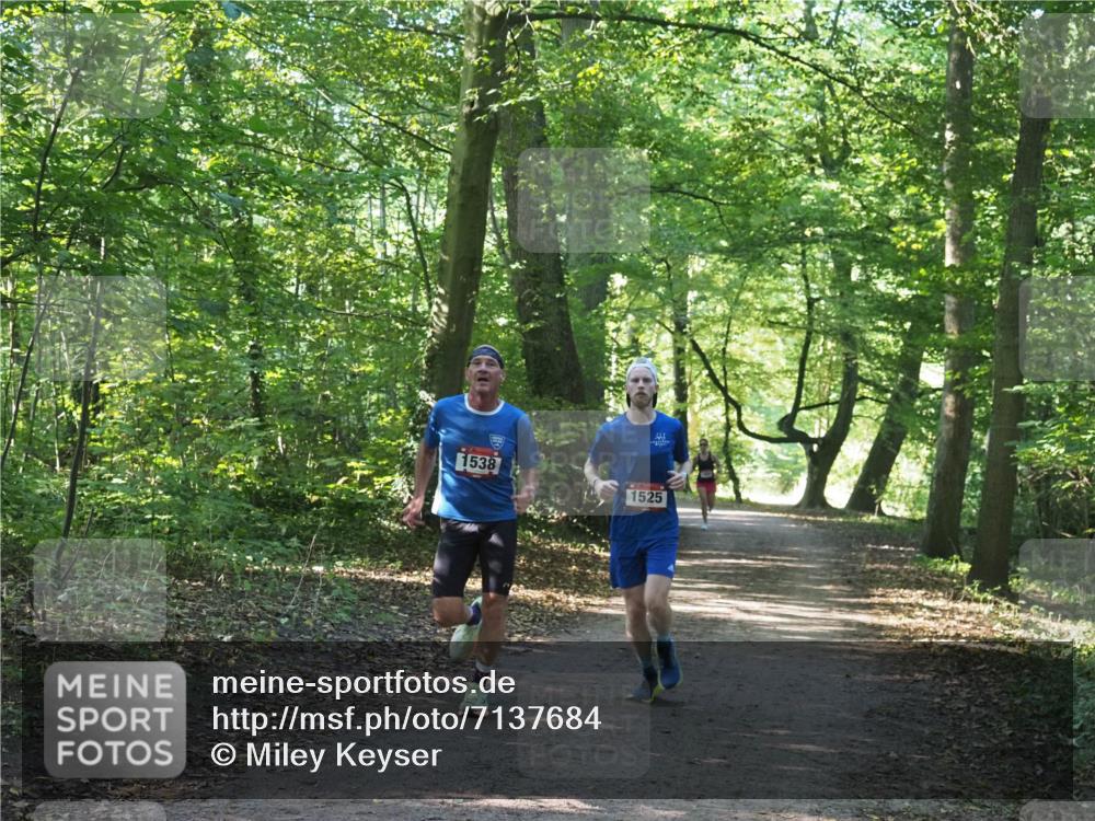 22.09.2024 - 32. Volkslauf durch das schöne Alstertal Miley Keyser http://msf.ph/oto/7137684 22.09.2024 10:18:14 Laufen 221, 1538, 1525 meine-sportfotos.de