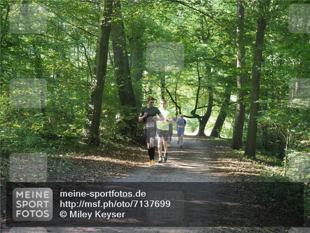 22.09.2024 - 32. Volkslauf durch das schöne Alstertal Miley Keyser http://msf.ph/oto/7137699 22.09.2024 10:18:09 Laufen 1517 meine-sportfotos.de