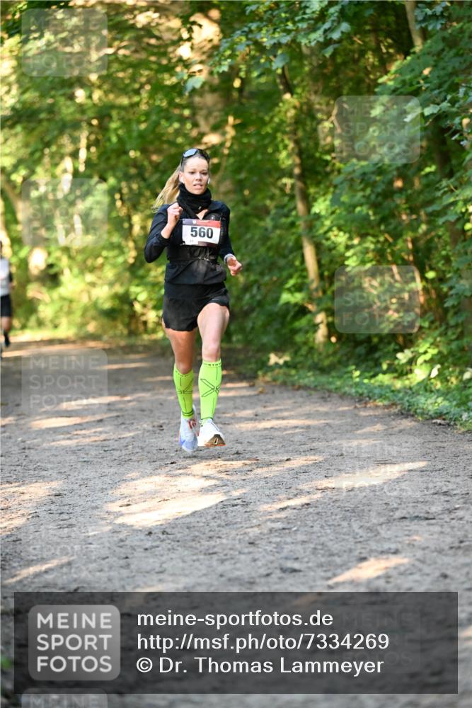 06.10.2024 - Bramfelder Halbmarathon 2024 Dr. Thomas Lammeyer http://msf.ph/oto/7334269 06.10.2024 09:49:38 Laufen 560 meine-sportfotos.de