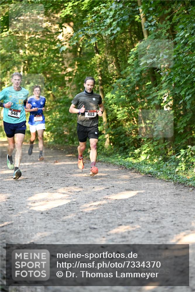 06.10.2024 - Bramfelder Halbmarathon 2024 Dr. Thomas Lammeyer http://msf.ph/oto/7334370 06.10.2024 09:50:10 Laufen 546, 207, 403 meine-sportfotos.de