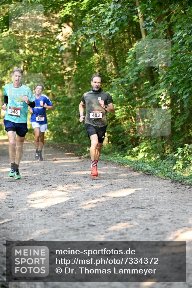06.10.2024 - Bramfelder Halbmarathon 2024 Dr. Thomas Lammeyer http://msf.ph/oto/7334372 06.10.2024 09:50:10 Laufen 546, 207, 403 meine-sportfotos.de
