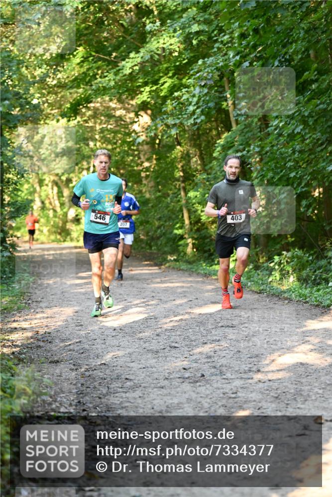 06.10.2024 - Bramfelder Halbmarathon 2024 Dr. Thomas Lammeyer http://msf.ph/oto/7334377 06.10.2024 09:50:11 Laufen 546, 207, 403 meine-sportfotos.de