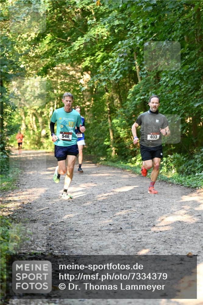 06.10.2024 - Bramfelder Halbmarathon 2024 Dr. Thomas Lammeyer http://msf.ph/oto/7334379 06.10.2024 09:50:11 Laufen 546, 207, 403 meine-sportfotos.de