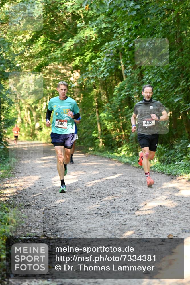06.10.2024 - Bramfelder Halbmarathon 2024 Dr. Thomas Lammeyer http://msf.ph/oto/7334381 06.10.2024 09:50:12 Laufen 546, 403 meine-sportfotos.de