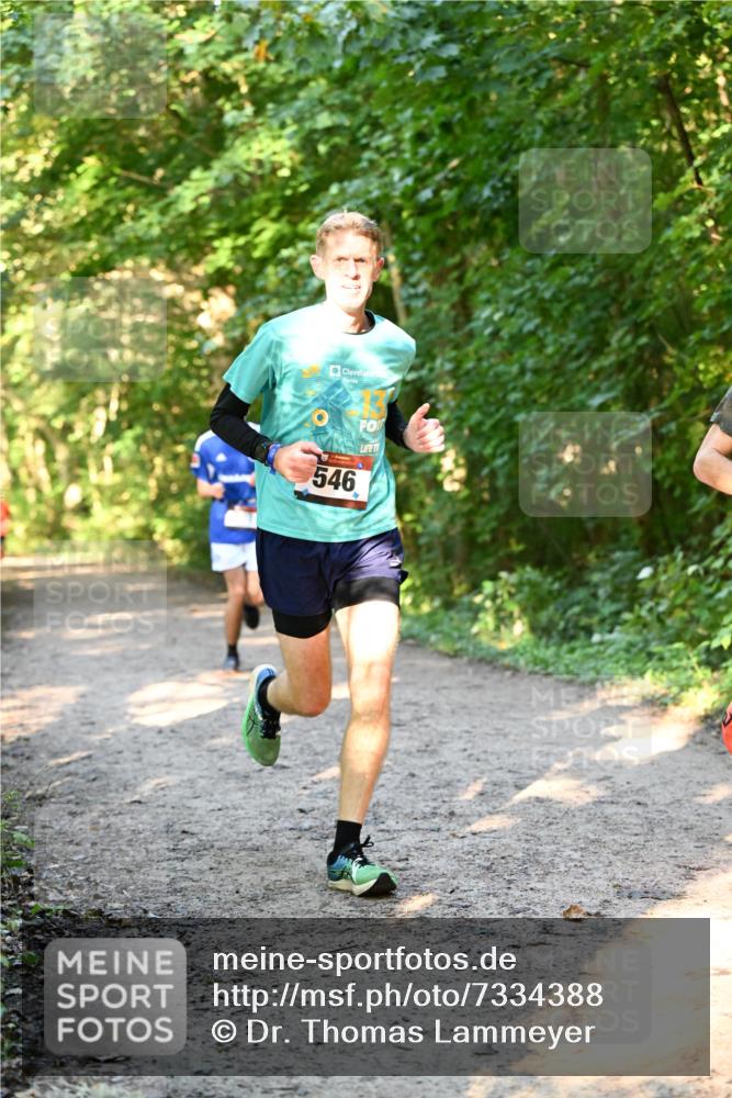 06.10.2024 - Bramfelder Halbmarathon 2024 Dr. Thomas Lammeyer http://msf.ph/oto/7334388 06.10.2024 09:50:13 Laufen 546 meine-sportfotos.de