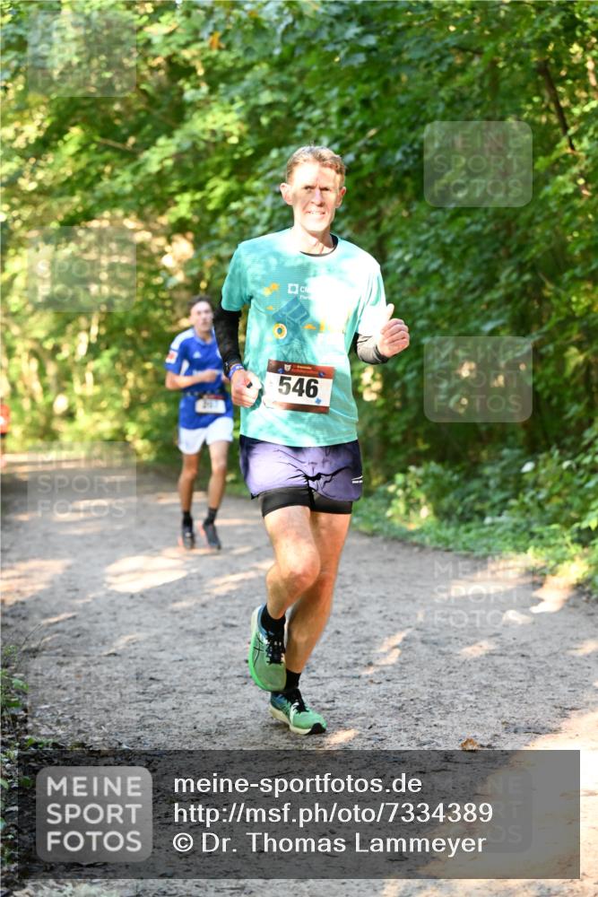 06.10.2024 - Bramfelder Halbmarathon 2024 Dr. Thomas Lammeyer http://msf.ph/oto/7334389 06.10.2024 09:50:13 Laufen 546 meine-sportfotos.de