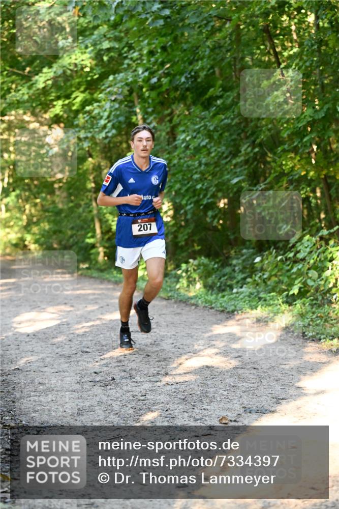 06.10.2024 - Bramfelder Halbmarathon 2024 Dr. Thomas Lammeyer http://msf.ph/oto/7334397 06.10.2024 09:50:14 Laufen 207 meine-sportfotos.de