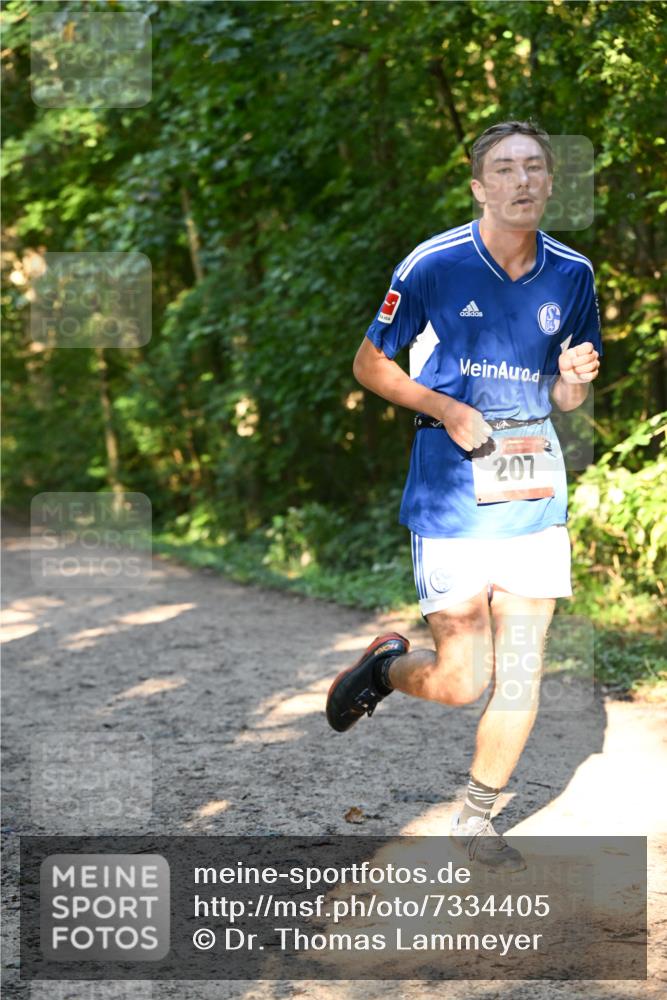 06.10.2024 - Bramfelder Halbmarathon 2024 Dr. Thomas Lammeyer http://msf.ph/oto/7334405 06.10.2024 09:50:15 Laufen 207 meine-sportfotos.de