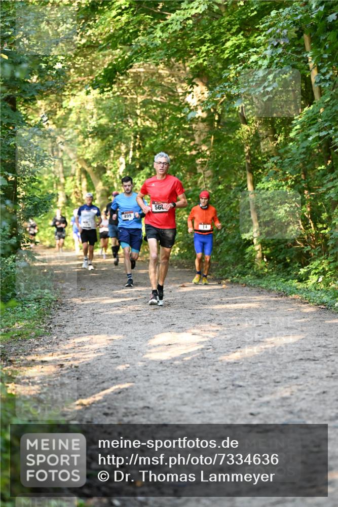 06.10.2024 - Bramfelder Halbmarathon 2024 Dr. Thomas Lammeyer http://msf.ph/oto/7334636 06.10.2024 09:51:51 Laufen 499, 560, 14 meine-sportfotos.de