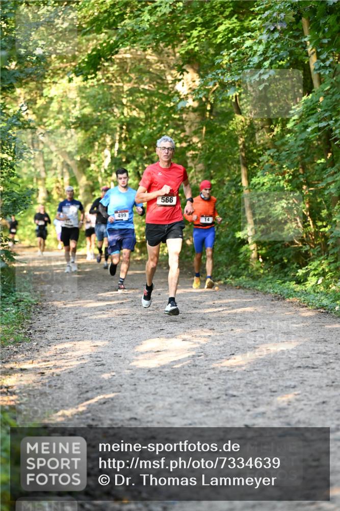 06.10.2024 - Bramfelder Halbmarathon 2024 Dr. Thomas Lammeyer http://msf.ph/oto/7334639 06.10.2024 09:51:52 Laufen 499, 566, 14 meine-sportfotos.de