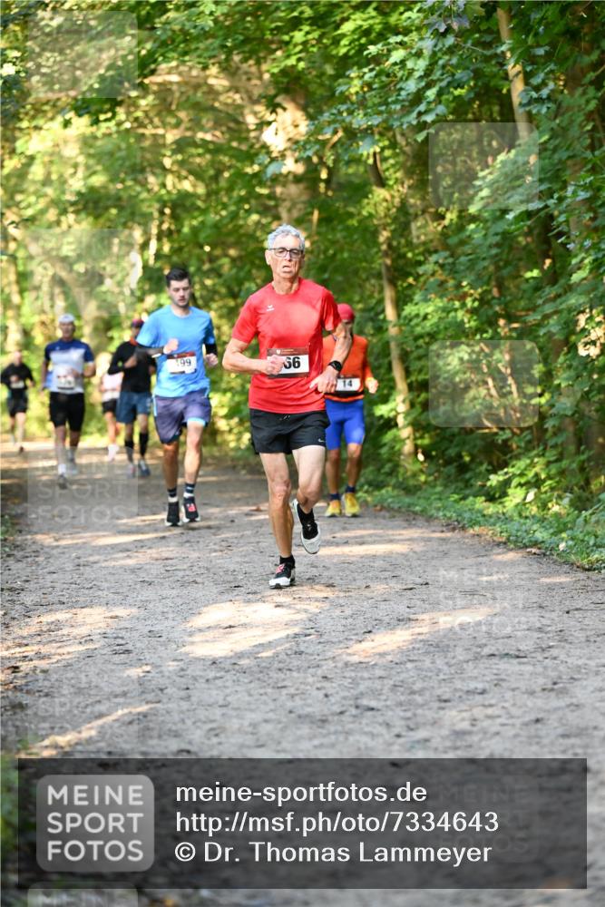 06.10.2024 - Bramfelder Halbmarathon 2024 Dr. Thomas Lammeyer http://msf.ph/oto/7334643 06.10.2024 09:51:52 Laufen 199, 56, 14 meine-sportfotos.de