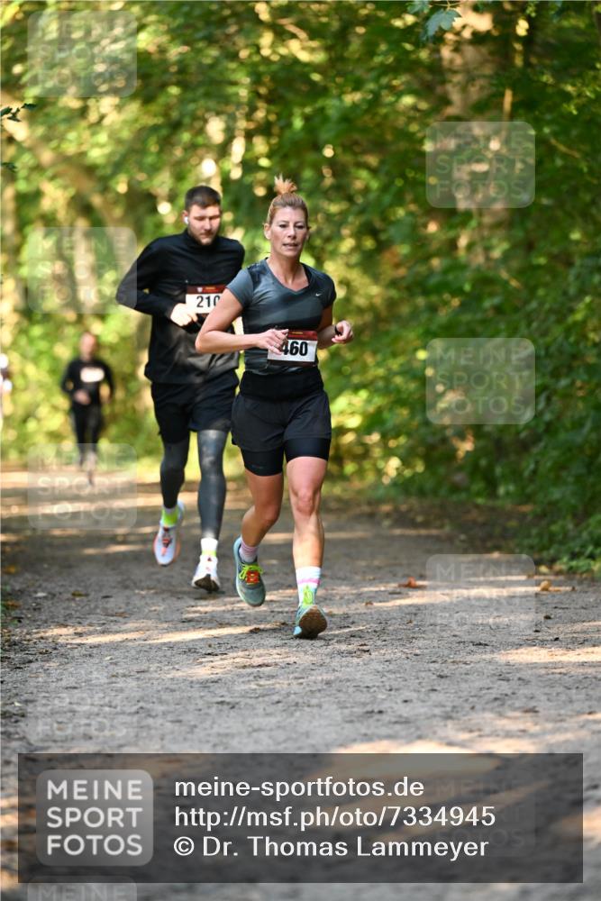 06.10.2024 - Bramfelder Halbmarathon 2024 Dr. Thomas Lammeyer http://msf.ph/oto/7334945 06.10.2024 09:53:19 Laufen 210, 460 meine-sportfotos.de