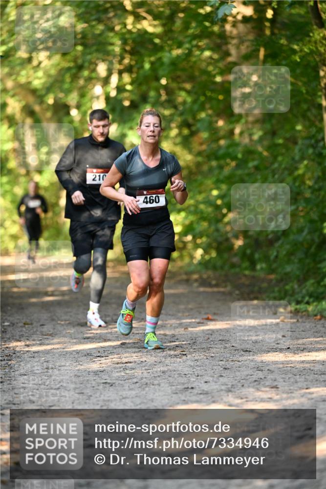 06.10.2024 - Bramfelder Halbmarathon 2024 Dr. Thomas Lammeyer http://msf.ph/oto/7334946 06.10.2024 09:53:19 Laufen 210, 460 meine-sportfotos.de