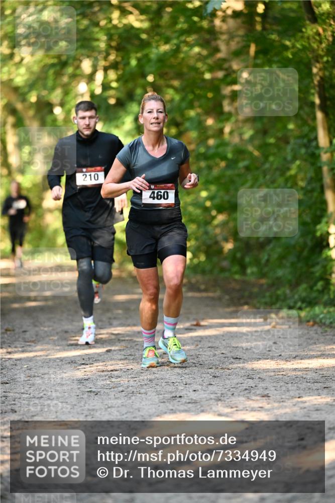 06.10.2024 - Bramfelder Halbmarathon 2024 Dr. Thomas Lammeyer http://msf.ph/oto/7334949 06.10.2024 09:53:19 Laufen 210, 460 meine-sportfotos.de