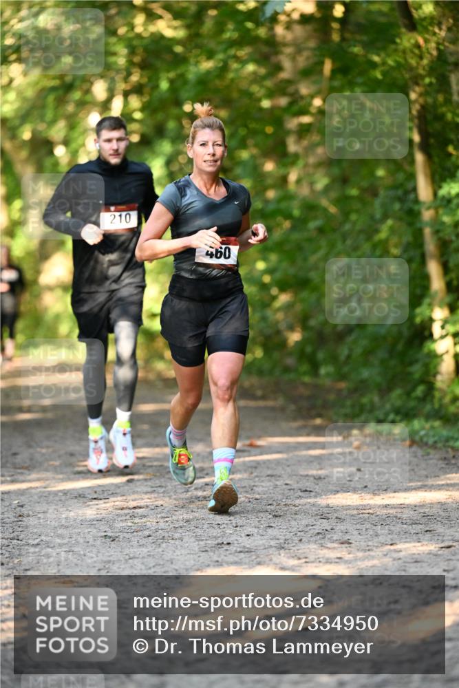 06.10.2024 - Bramfelder Halbmarathon 2024 Dr. Thomas Lammeyer http://msf.ph/oto/7334950 06.10.2024 09:53:19 Laufen 210, 460 meine-sportfotos.de