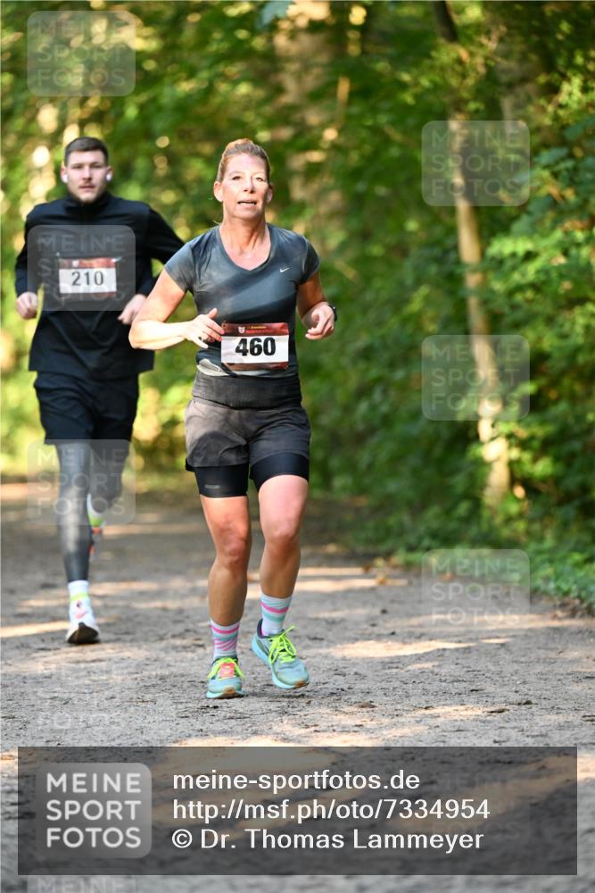 06.10.2024 - Bramfelder Halbmarathon 2024 Dr. Thomas Lammeyer http://msf.ph/oto/7334954 06.10.2024 09:53:20 Laufen 210, 460 meine-sportfotos.de