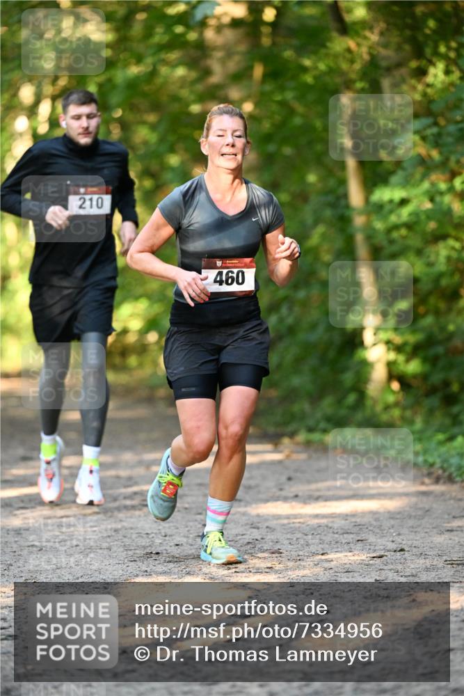 06.10.2024 - Bramfelder Halbmarathon 2024 Dr. Thomas Lammeyer http://msf.ph/oto/7334956 06.10.2024 09:53:20 Laufen 210, 460 meine-sportfotos.de