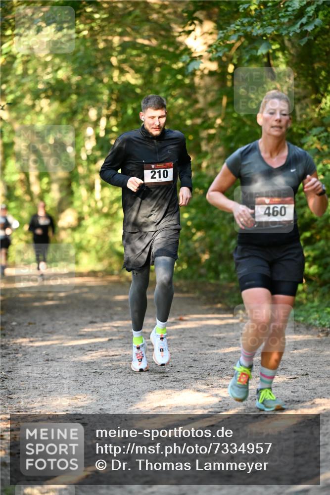 06.10.2024 - Bramfelder Halbmarathon 2024 Dr. Thomas Lammeyer http://msf.ph/oto/7334957 06.10.2024 09:53:21 Laufen 210, 460 meine-sportfotos.de