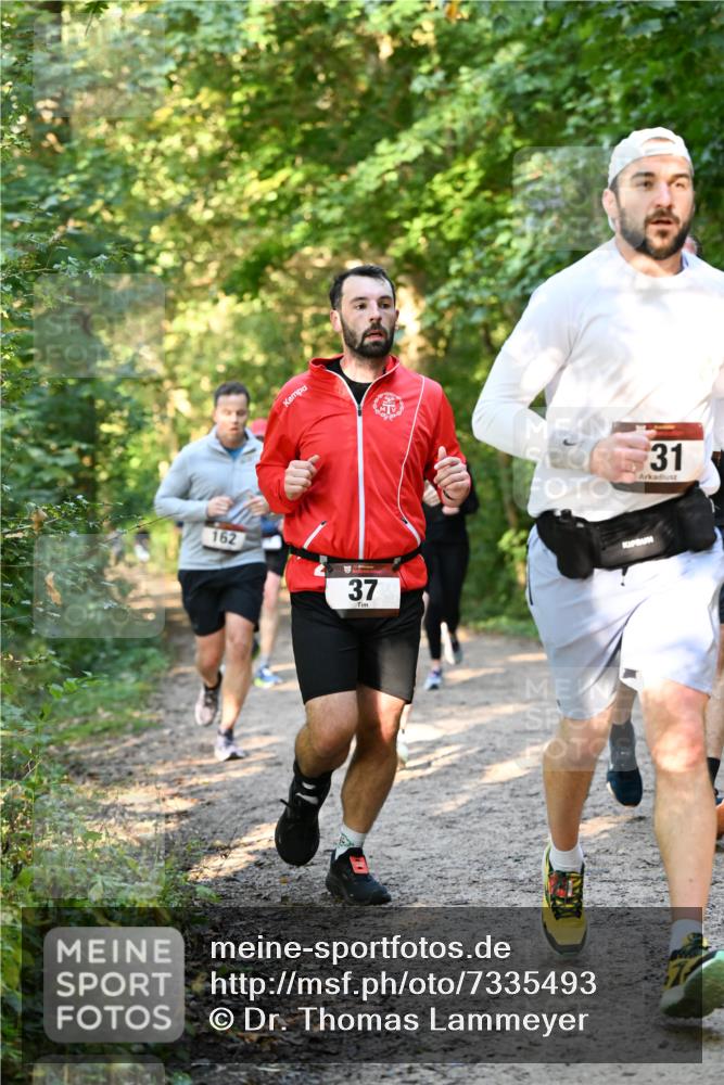 06.10.2024 - Bramfelder Halbmarathon 2024 Dr. Thomas Lammeyer http://msf.ph/oto/7335493 06.10.2024 09:55:32 Laufen 162, 37, 31 meine-sportfotos.de