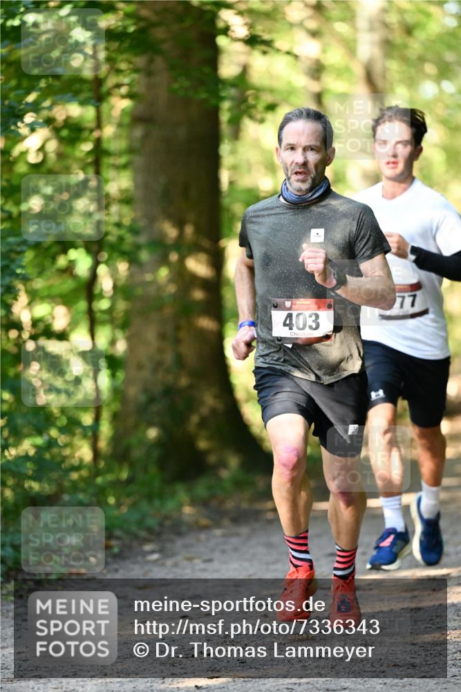 06.10.2024 - Bramfelder Halbmarathon 2024 Dr. Thomas Lammeyer http://msf.ph/oto/7336343 06.10.2024 10:12:19 Laufen 403, 77 meine-sportfotos.de