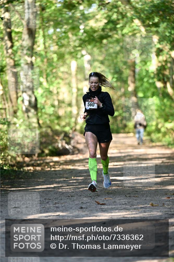 06.10.2024 - Bramfelder Halbmarathon 2024 Dr. Thomas Lammeyer http://msf.ph/oto/7336362 06.10.2024 10:12:43 Laufen 560 meine-sportfotos.de