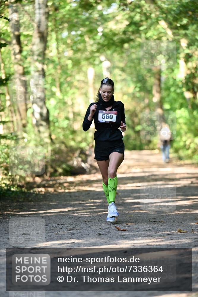 06.10.2024 - Bramfelder Halbmarathon 2024 Dr. Thomas Lammeyer http://msf.ph/oto/7336364 06.10.2024 10:12:43 Laufen 560 meine-sportfotos.de