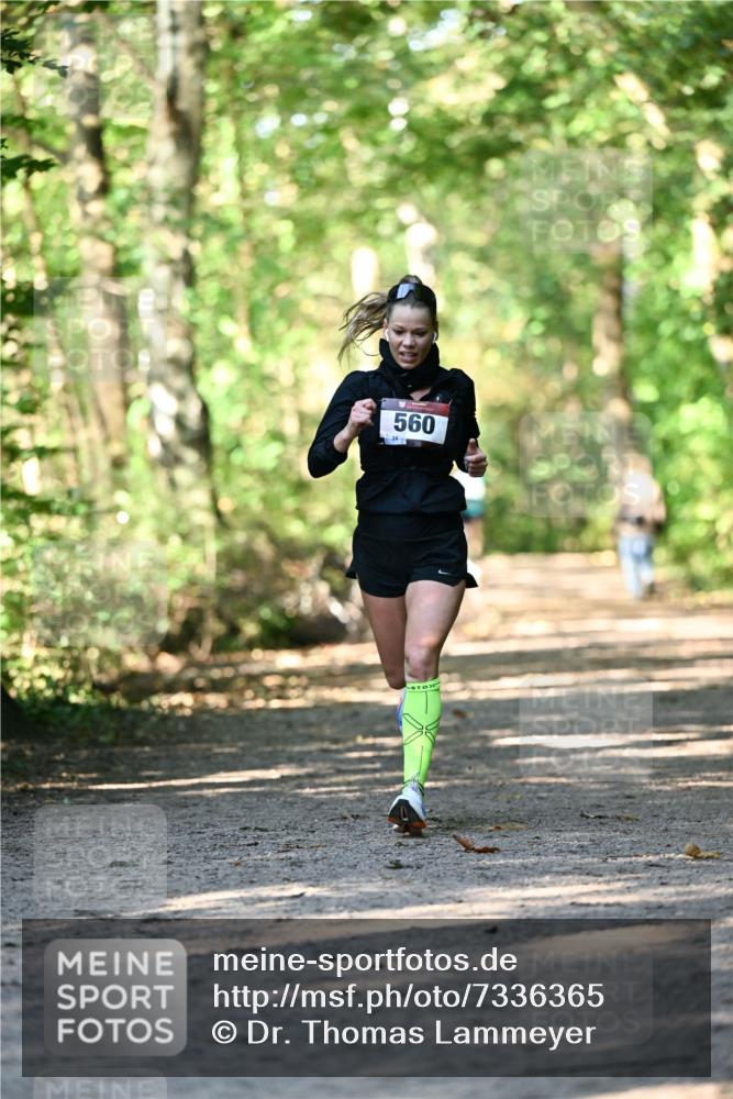 06.10.2024 - Bramfelder Halbmarathon 2024 Dr. Thomas Lammeyer http://msf.ph/oto/7336365 06.10.2024 10:12:43 Laufen 560 meine-sportfotos.de