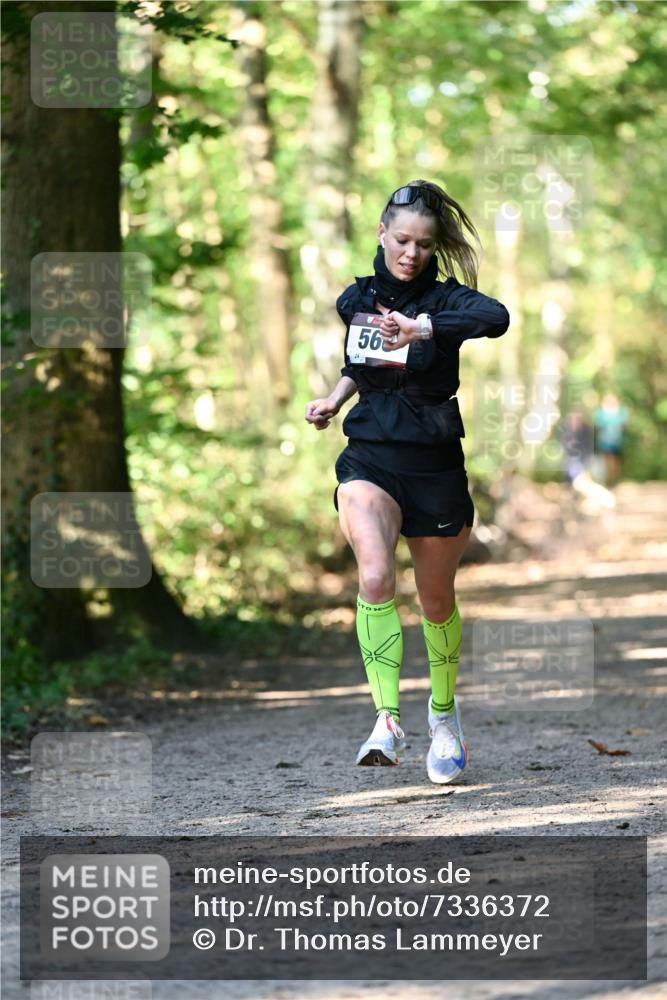 06.10.2024 - Bramfelder Halbmarathon 2024 Dr. Thomas Lammeyer http://msf.ph/oto/7336372 06.10.2024 10:12:44 Laufen 56 meine-sportfotos.de