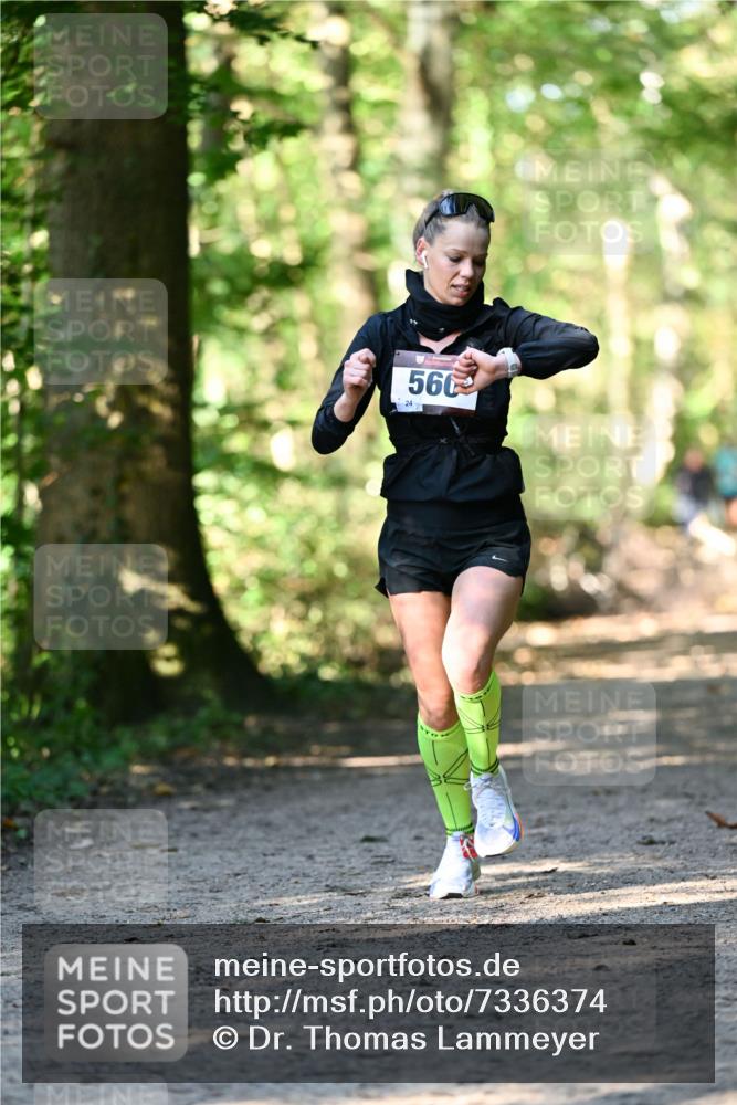 06.10.2024 - Bramfelder Halbmarathon 2024 Dr. Thomas Lammeyer http://msf.ph/oto/7336374 06.10.2024 10:12:45 Laufen 560 meine-sportfotos.de