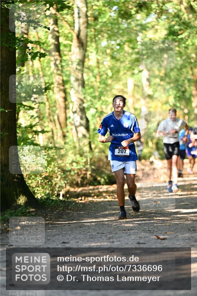 06.10.2024 - Bramfelder Halbmarathon 2024 Dr. Thomas Lammeyer http://msf.ph/oto/7336696 06.10.2024 10:16:32 Laufen 207 meine-sportfotos.de
