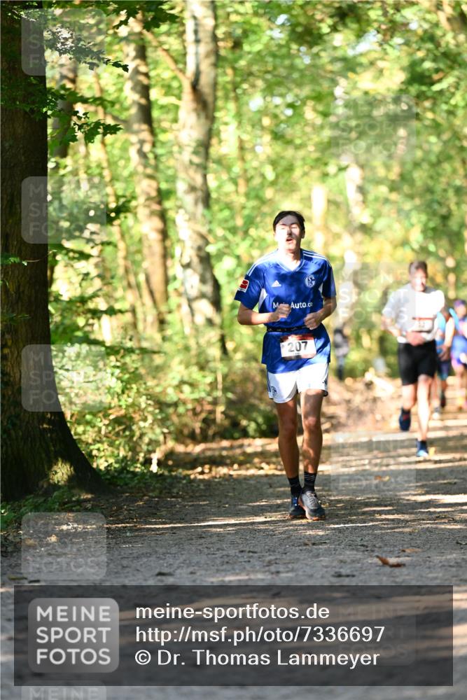 06.10.2024 - Bramfelder Halbmarathon 2024 Dr. Thomas Lammeyer http://msf.ph/oto/7336697 06.10.2024 10:16:32 Laufen 207 meine-sportfotos.de