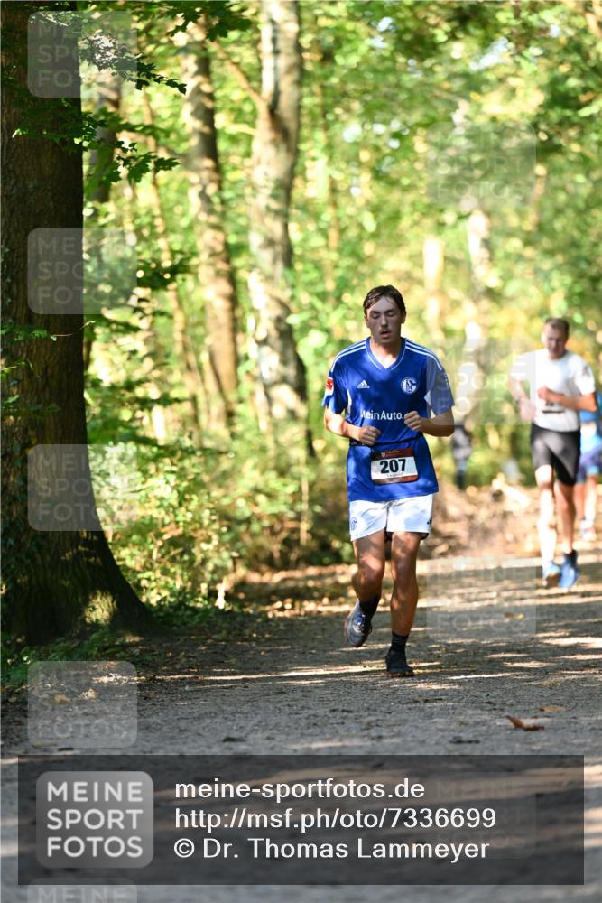 06.10.2024 - Bramfelder Halbmarathon 2024 Dr. Thomas Lammeyer http://msf.ph/oto/7336699 06.10.2024 10:16:33 Laufen 207 meine-sportfotos.de
