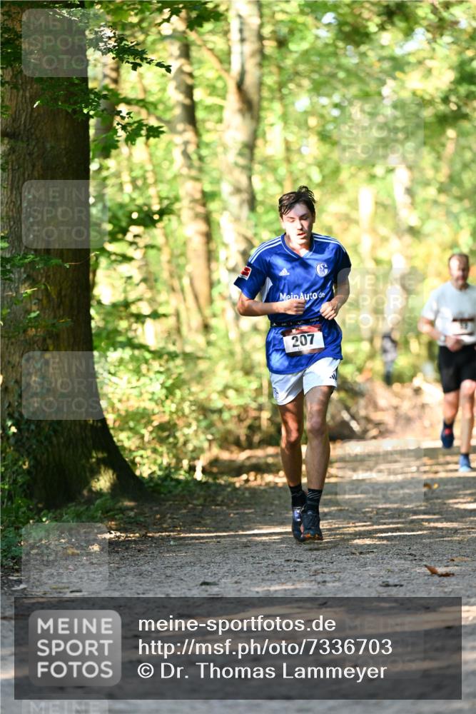06.10.2024 - Bramfelder Halbmarathon 2024 Dr. Thomas Lammeyer http://msf.ph/oto/7336703 06.10.2024 10:16:33 Laufen 207 meine-sportfotos.de