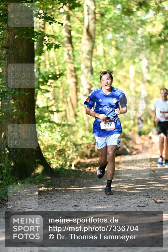 06.10.2024 - Bramfelder Halbmarathon 2024 Dr. Thomas Lammeyer http://msf.ph/oto/7336704 06.10.2024 10:16:33 Laufen 207 meine-sportfotos.de