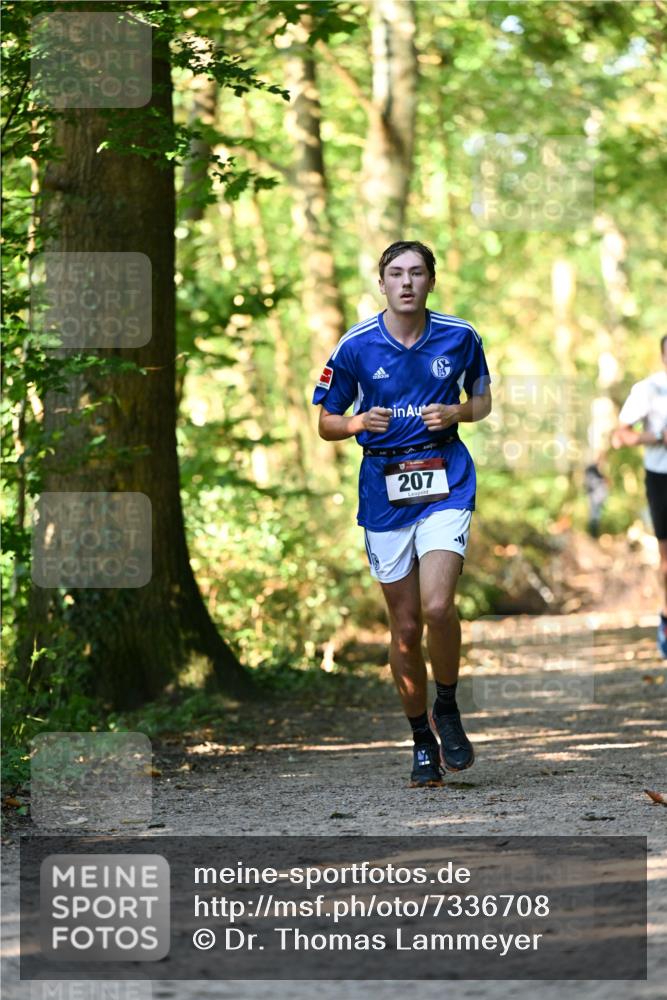 06.10.2024 - Bramfelder Halbmarathon 2024 Dr. Thomas Lammeyer http://msf.ph/oto/7336708 06.10.2024 10:16:34 Laufen 207 meine-sportfotos.de