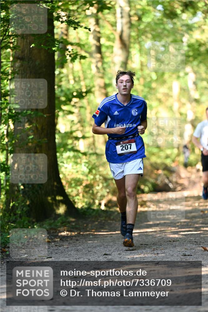 06.10.2024 - Bramfelder Halbmarathon 2024 Dr. Thomas Lammeyer http://msf.ph/oto/7336709 06.10.2024 10:16:34 Laufen 207 meine-sportfotos.de