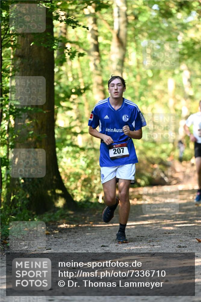 06.10.2024 - Bramfelder Halbmarathon 2024 Dr. Thomas Lammeyer http://msf.ph/oto/7336710 06.10.2024 10:16:34 Laufen 207 meine-sportfotos.de