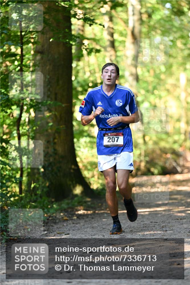 06.10.2024 - Bramfelder Halbmarathon 2024 Dr. Thomas Lammeyer http://msf.ph/oto/7336713 06.10.2024 10:16:34 Laufen 207 meine-sportfotos.de