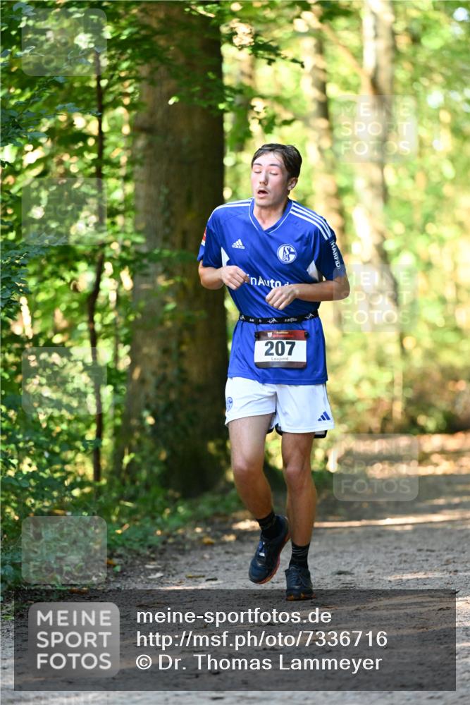 06.10.2024 - Bramfelder Halbmarathon 2024 Dr. Thomas Lammeyer http://msf.ph/oto/7336716 06.10.2024 10:16:35 Laufen 207 meine-sportfotos.de