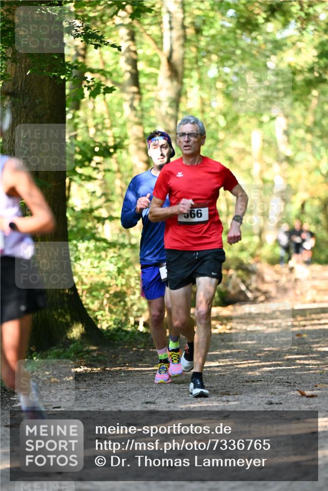 06.10.2024 - Bramfelder Halbmarathon 2024 Dr. Thomas Lammeyer http://msf.ph/oto/7336765 06.10.2024 10:16:46 Laufen 999 meine-sportfotos.de
