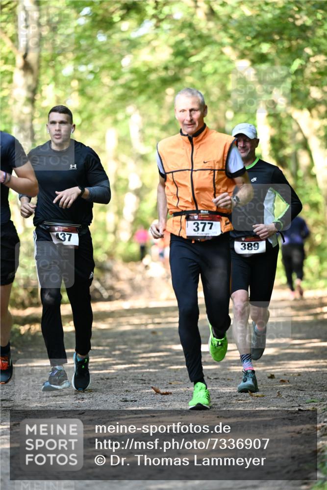 06.10.2024 - Bramfelder Halbmarathon 2024 Dr. Thomas Lammeyer http://msf.ph/oto/7336907 06.10.2024 10:17:48 Laufen 37, 377, 113, 389 meine-sportfotos.de