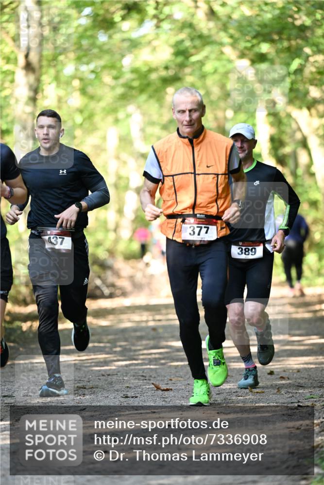 06.10.2024 - Bramfelder Halbmarathon 2024 Dr. Thomas Lammeyer http://msf.ph/oto/7336908 06.10.2024 10:17:48 Laufen 1, 437, 377, 00, 389 meine-sportfotos.de