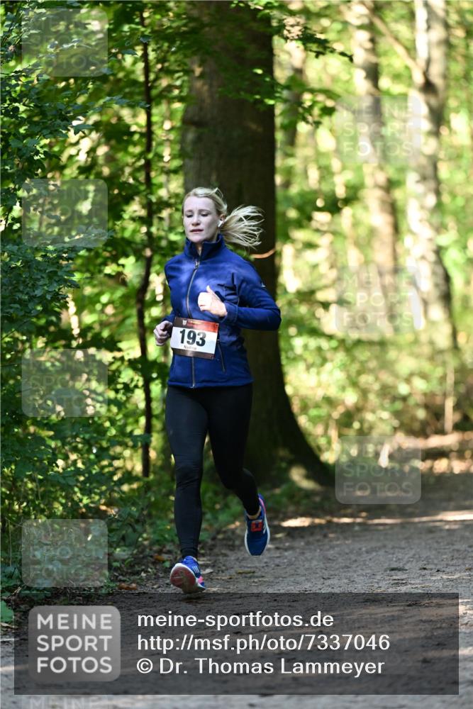 06.10.2024 - Bramfelder Halbmarathon 2024 Dr. Thomas Lammeyer http://msf.ph/oto/7337046 06.10.2024 10:18:55 Laufen 193 meine-sportfotos.de