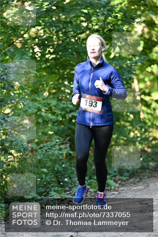 06.10.2024 - Bramfelder Halbmarathon 2024 Dr. Thomas Lammeyer http://msf.ph/oto/7337055 06.10.2024 10:18:56 Laufen 33, 193 meine-sportfotos.de